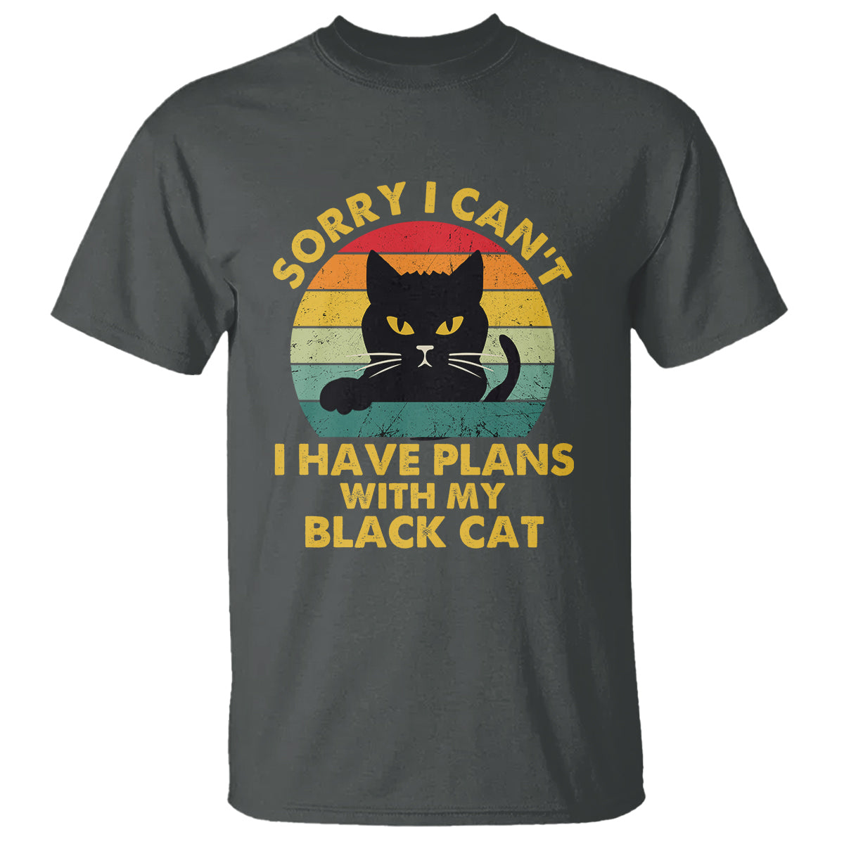 cat-lover-t-shirt-sorry-i-cant-i-have-plans-with-my-black-cat