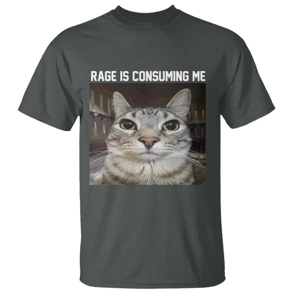 funny-silly-cat-meme-t-shirt-rage-is-consuming-me-staring
