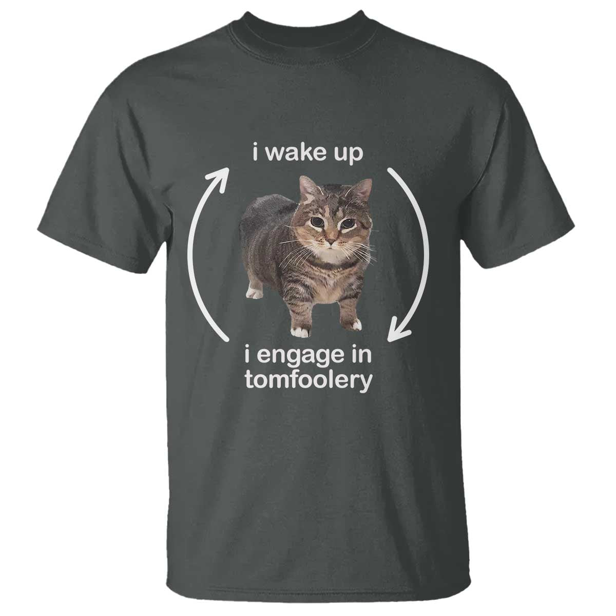 funny-silly-cat-meme-t-shirt-i-wake-up-i-engage-in-tomfoolery