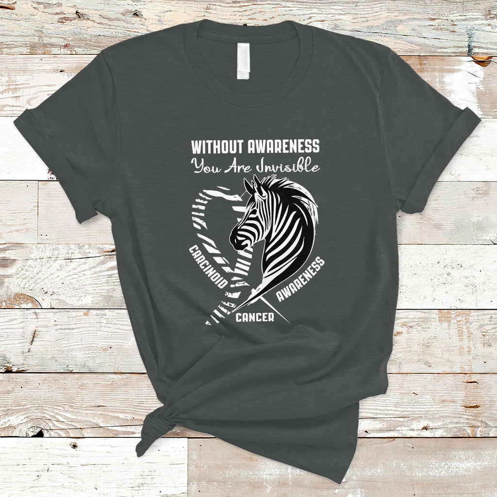 without-awareness-you-are-invisible-carcinoid-cancer-t-shirt