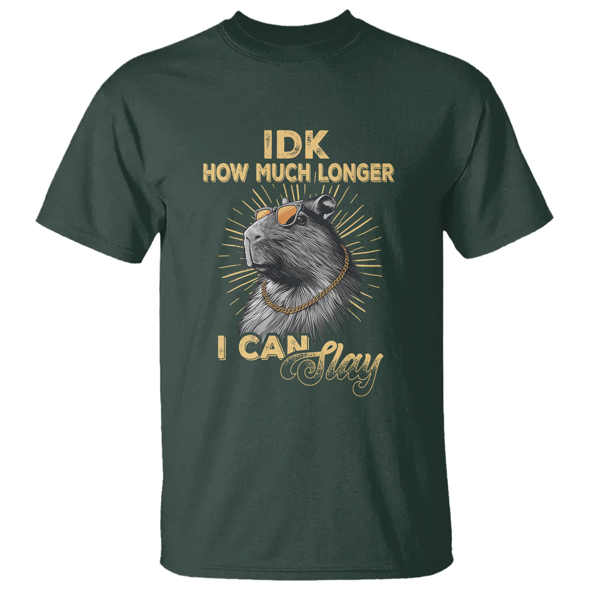 capybara-lover-t-shirt-idk-how-much-longer-i-can-slay-cool-capy