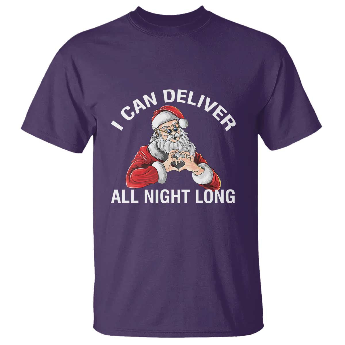 funny-chrsitmas-t-shirt-i-can-deliver-all-night-long