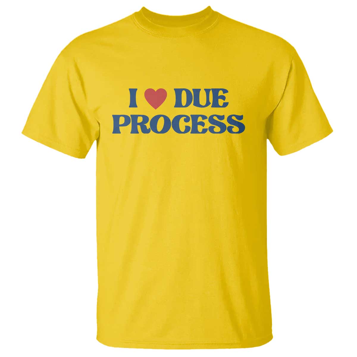 i-love-due-process-t-shirt-pro-immigration-immigrants-feed-america