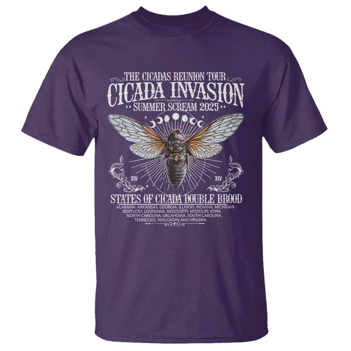 the-cicadas-reunion-tour-2025-t-shirt-cicada-invasion-brood-xiv-vintage-concert-fest