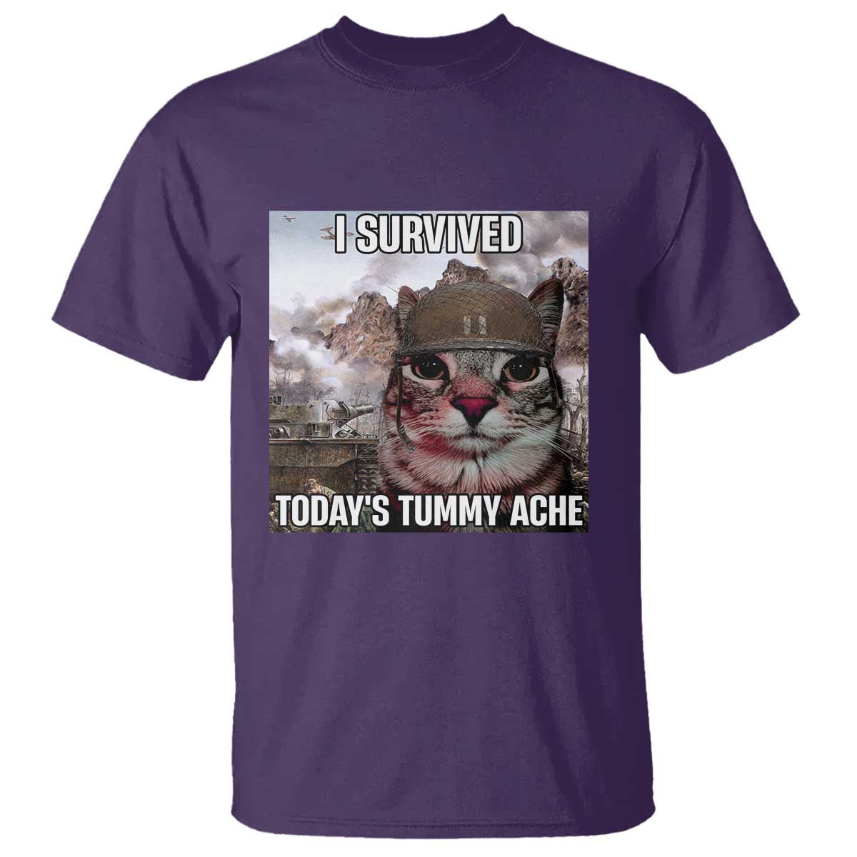 funny-i-survived-todays-tummy-ache-t-shirt-war-cat-meme