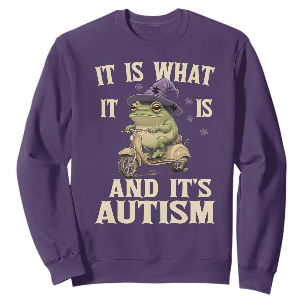 Funny It Is What It Is And It's Autism Sweatshirt Meme Autism Support Frog