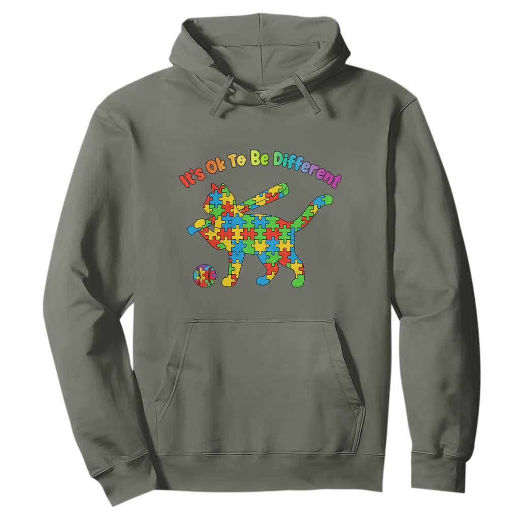 Autism Acceptance Baseball Cat Hoodie It Is Ok To Be Different