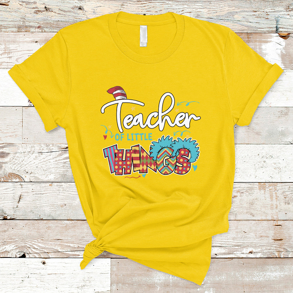 teacher-of-little-things-teacher-day-reading-day-book-lovers-t-shirt-ts02