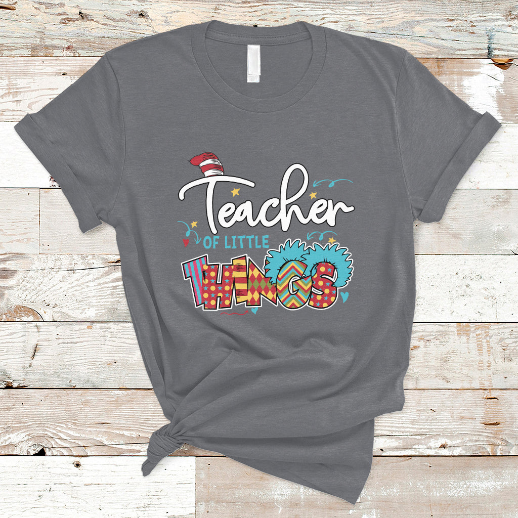 teacher-of-little-things-teacher-day-reading-day-book-lovers-t-shirt-ts02