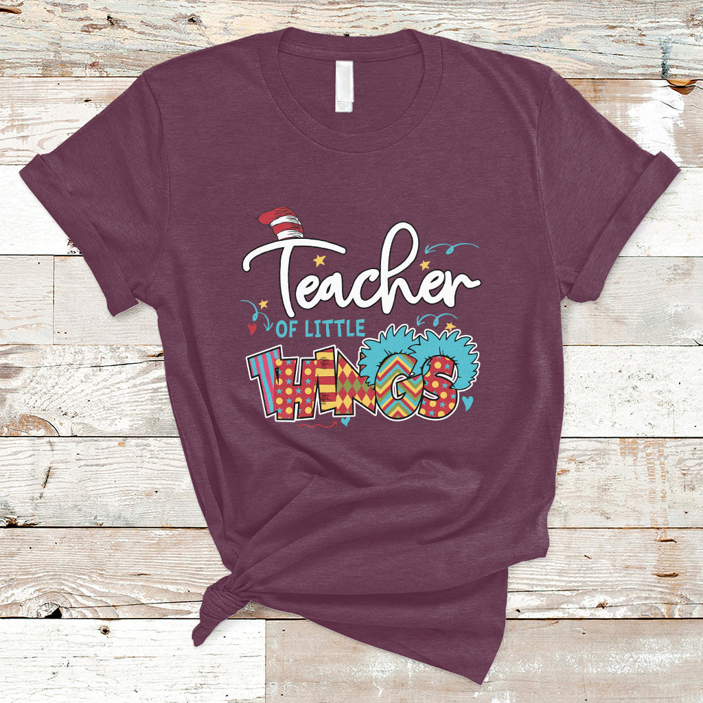 teacher-of-little-things-teacher-day-reading-day-book-lovers-t-shirt-ts02
