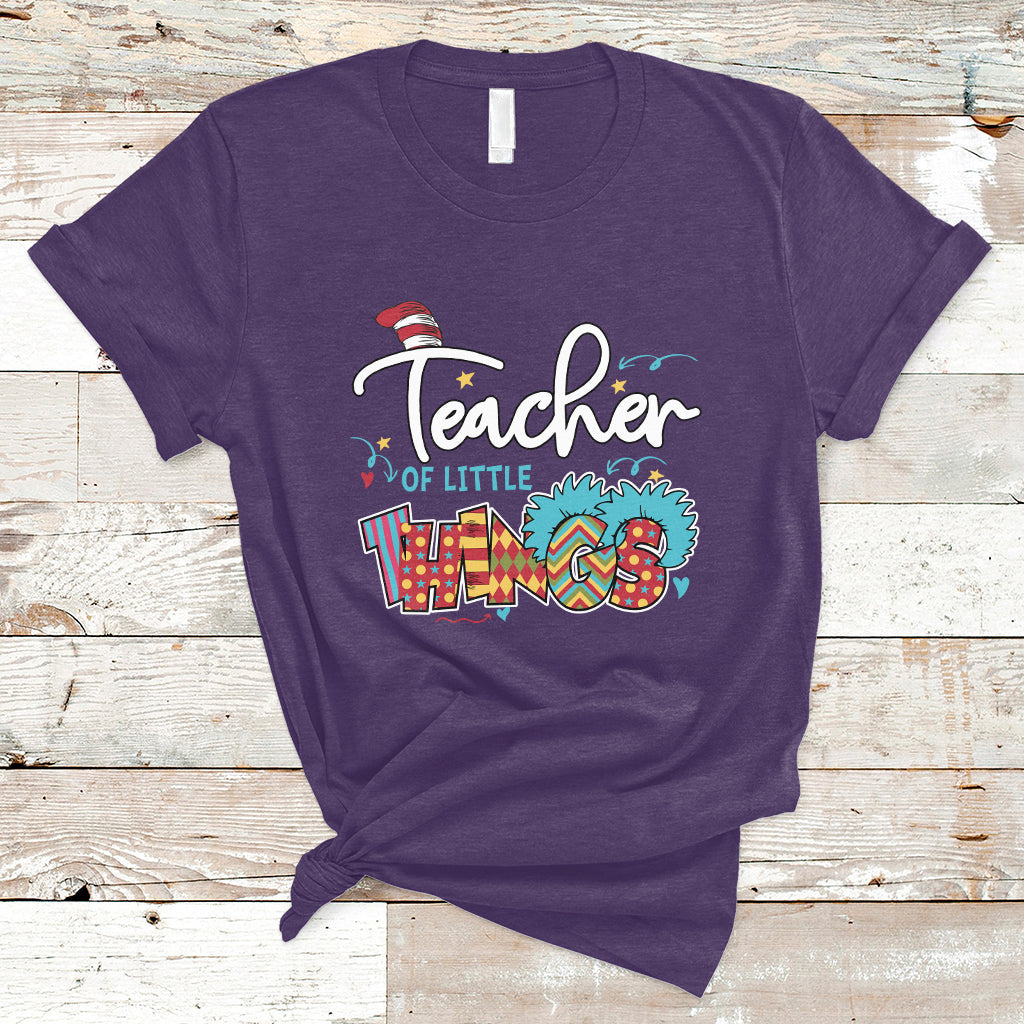 teacher-of-little-things-teacher-day-reading-day-book-lovers-t-shirt-ts02