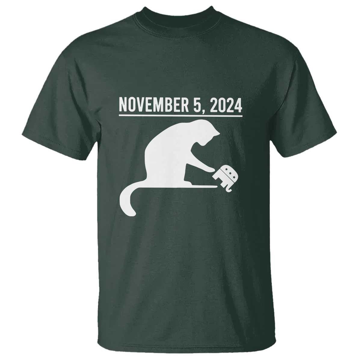 november-5-2024-womens-rights-t-shirt-feminist-for-women