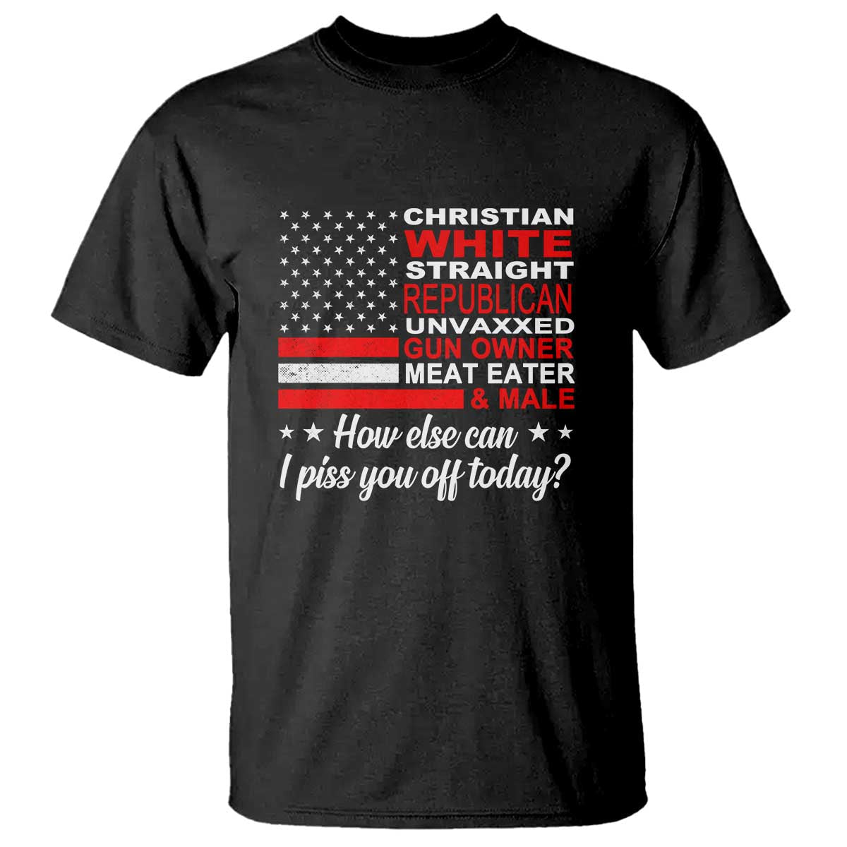 bold-conservative-statement-t-shirt-how-else-can-i-piss-you-off-today