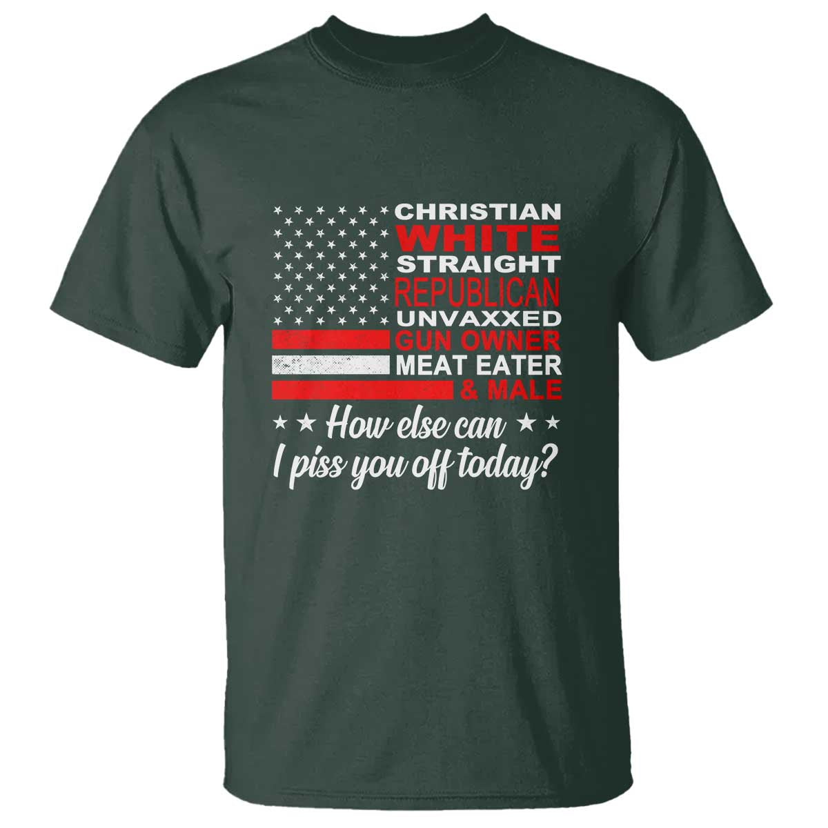bold-conservative-statement-t-shirt-how-else-can-i-piss-you-off-today