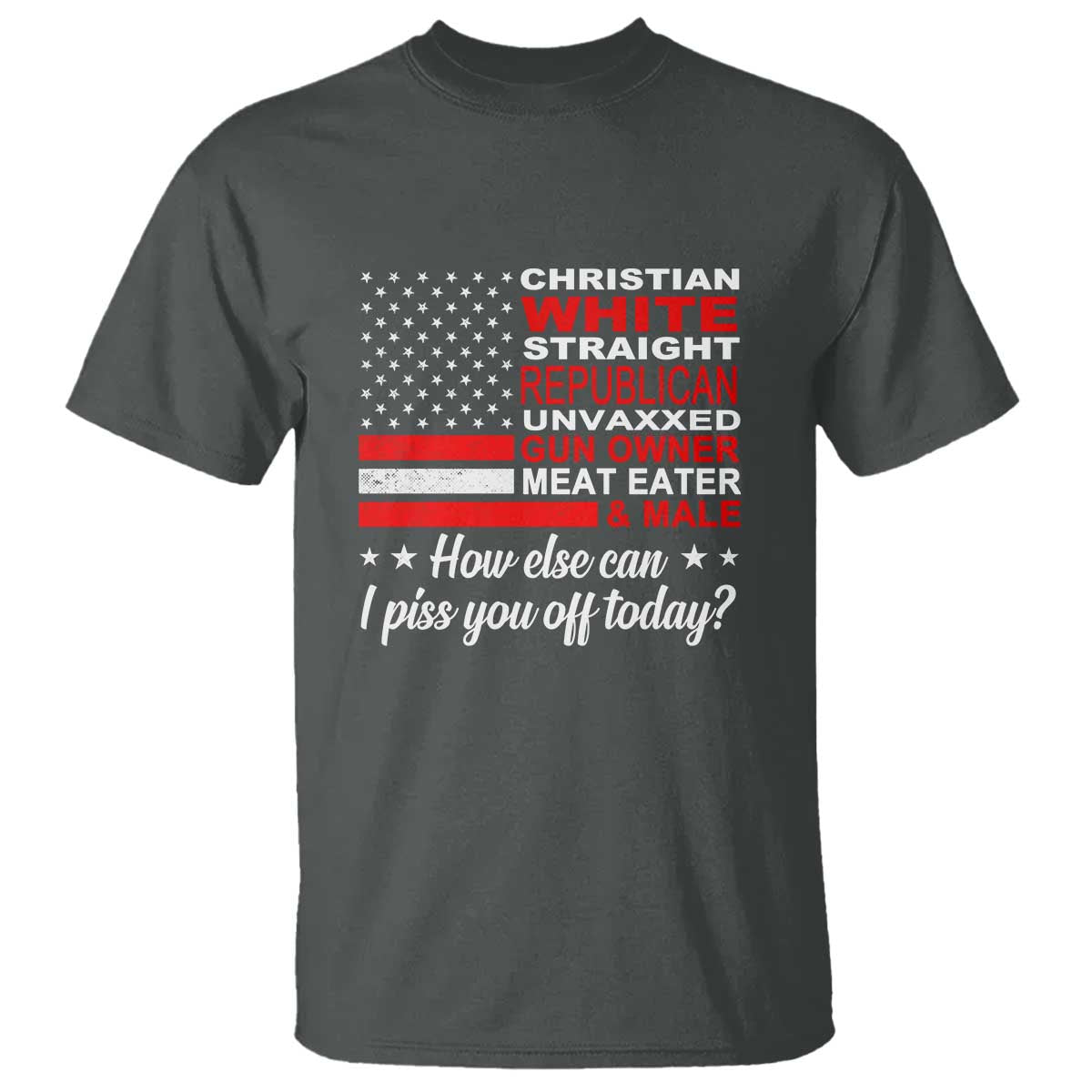 bold-conservative-statement-t-shirt-how-else-can-i-piss-you-off-today