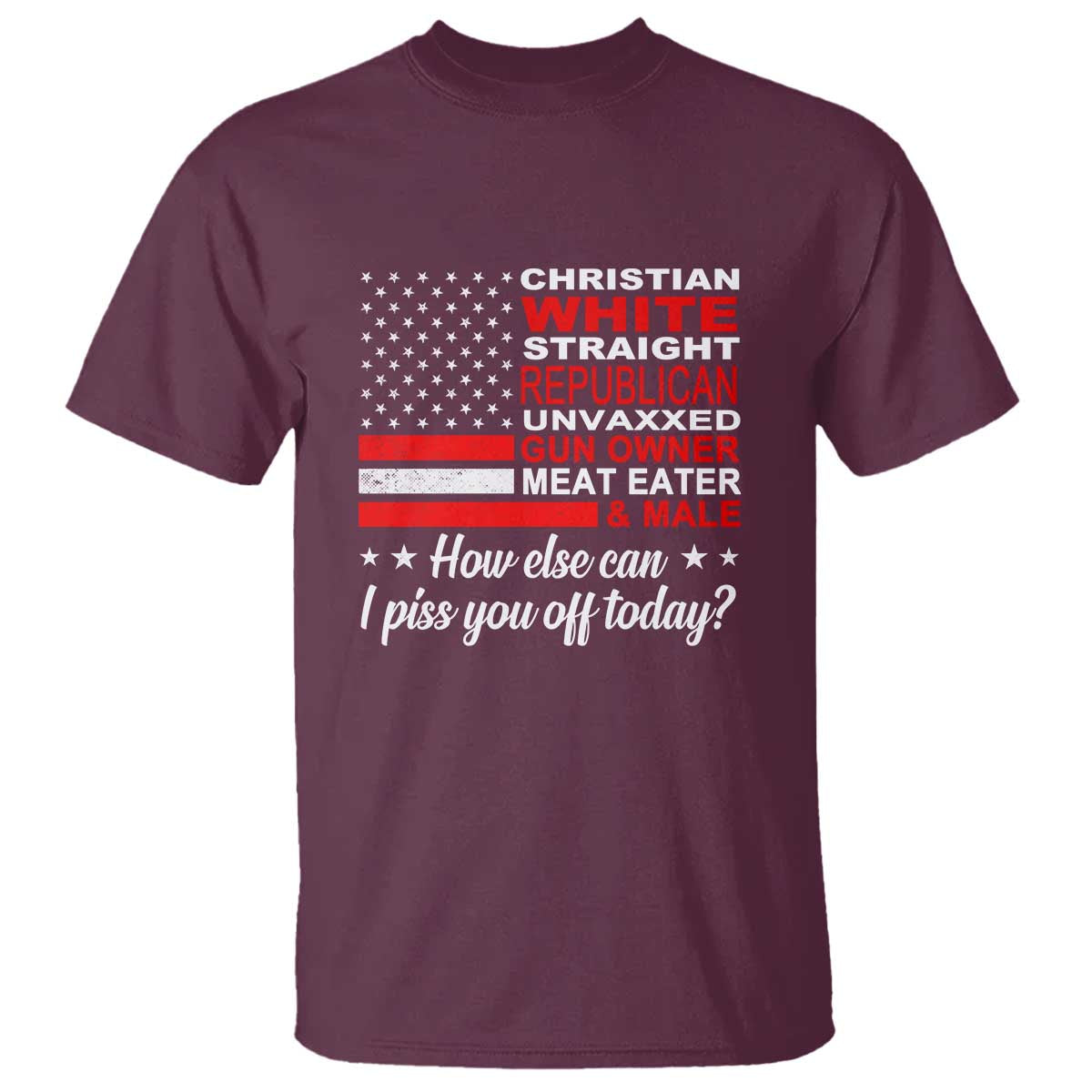 bold-conservative-statement-t-shirt-how-else-can-i-piss-you-off-today
