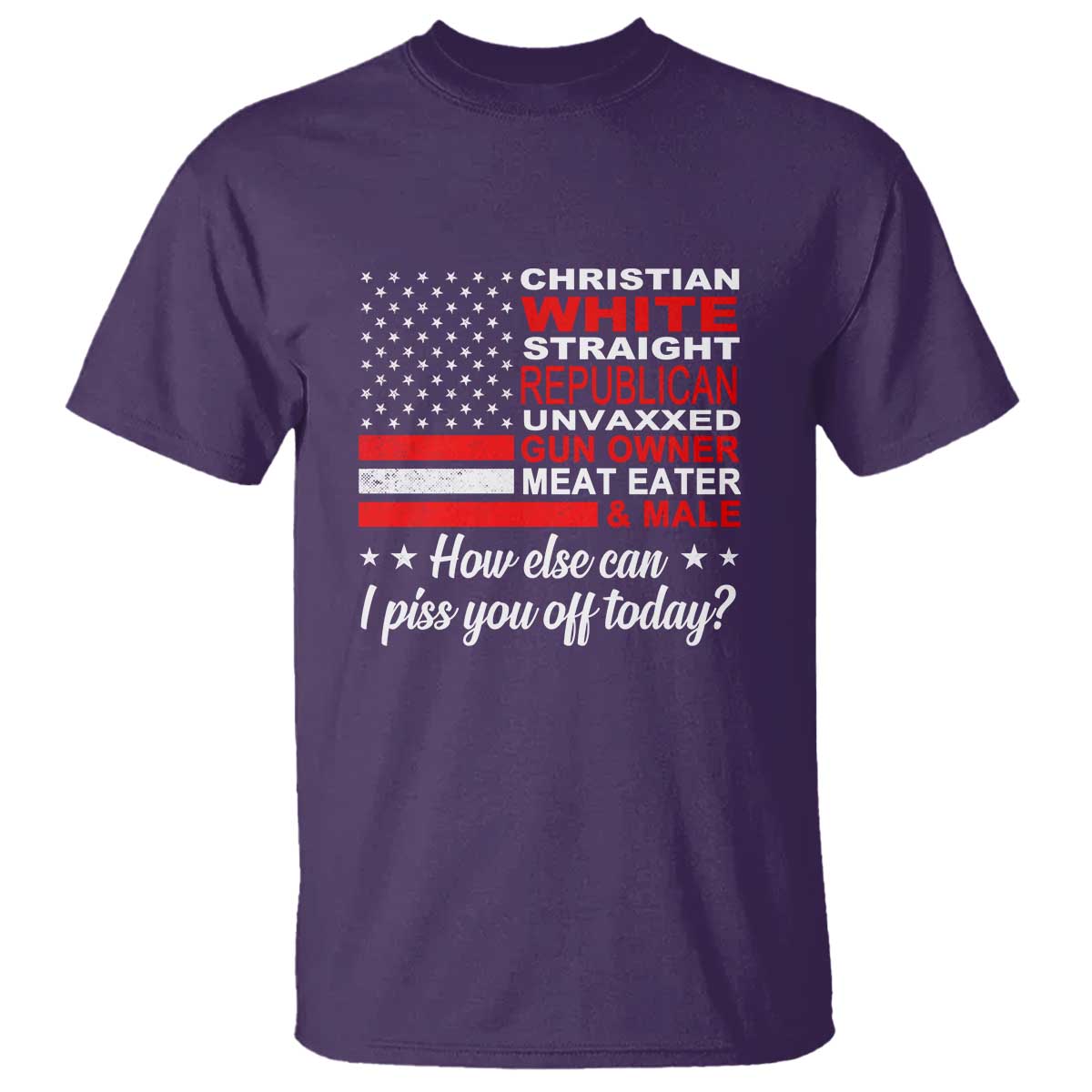 bold-conservative-statement-t-shirt-how-else-can-i-piss-you-off-today