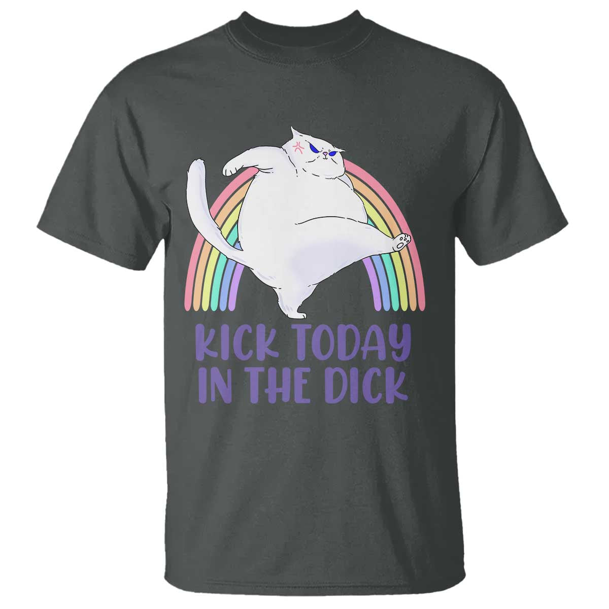 funny-sarcastic-cat-t-shirt-kick-today-in-the-dick-pastel-rainbow