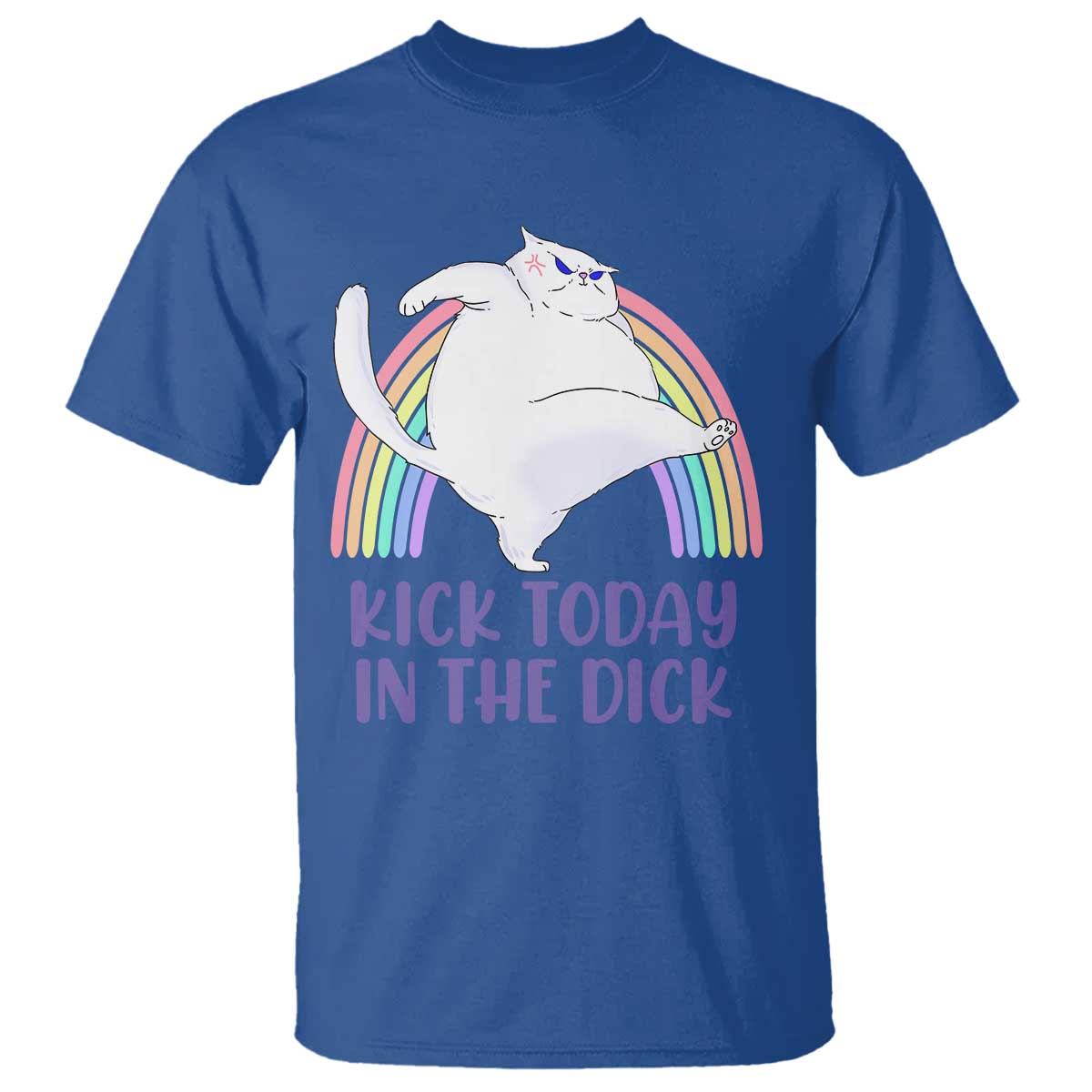 funny-sarcastic-cat-t-shirt-kick-today-in-the-dick-pastel-rainbow