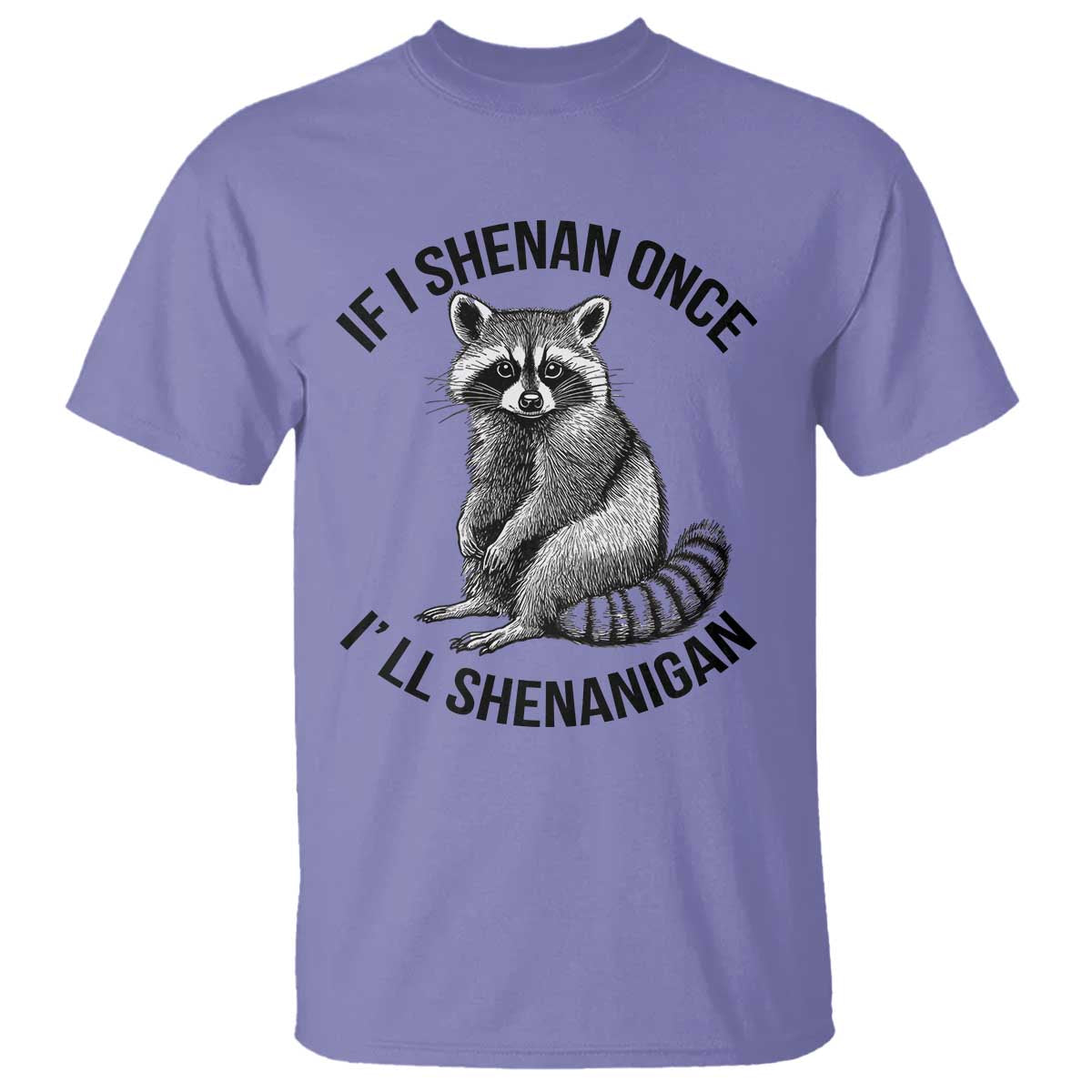 st-patricks-day-raccoon-meme-t-shirt-if-i-shenan-once-ill-shenanigan