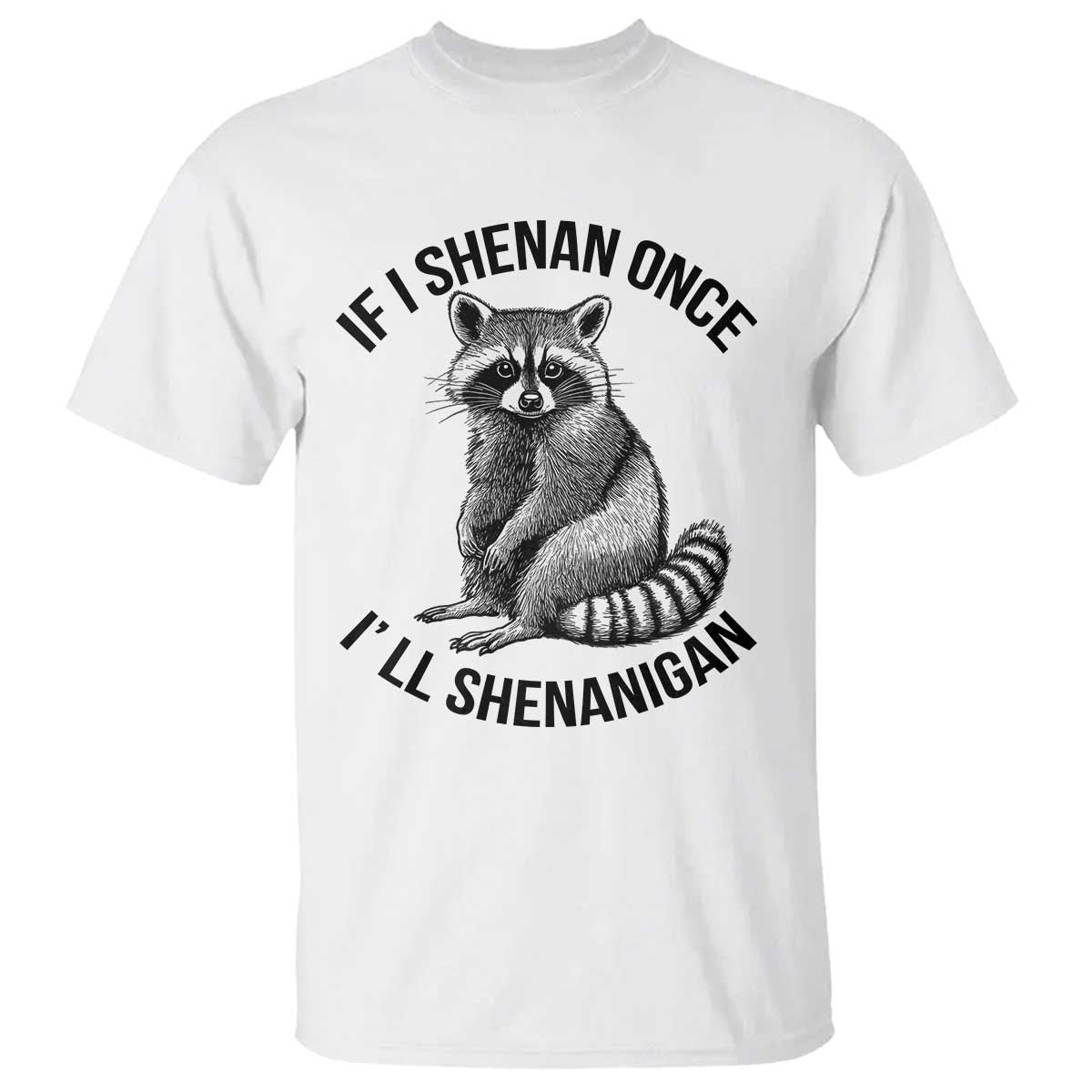 st-patricks-day-raccoon-meme-t-shirt-if-i-shenan-once-ill-shenanigan