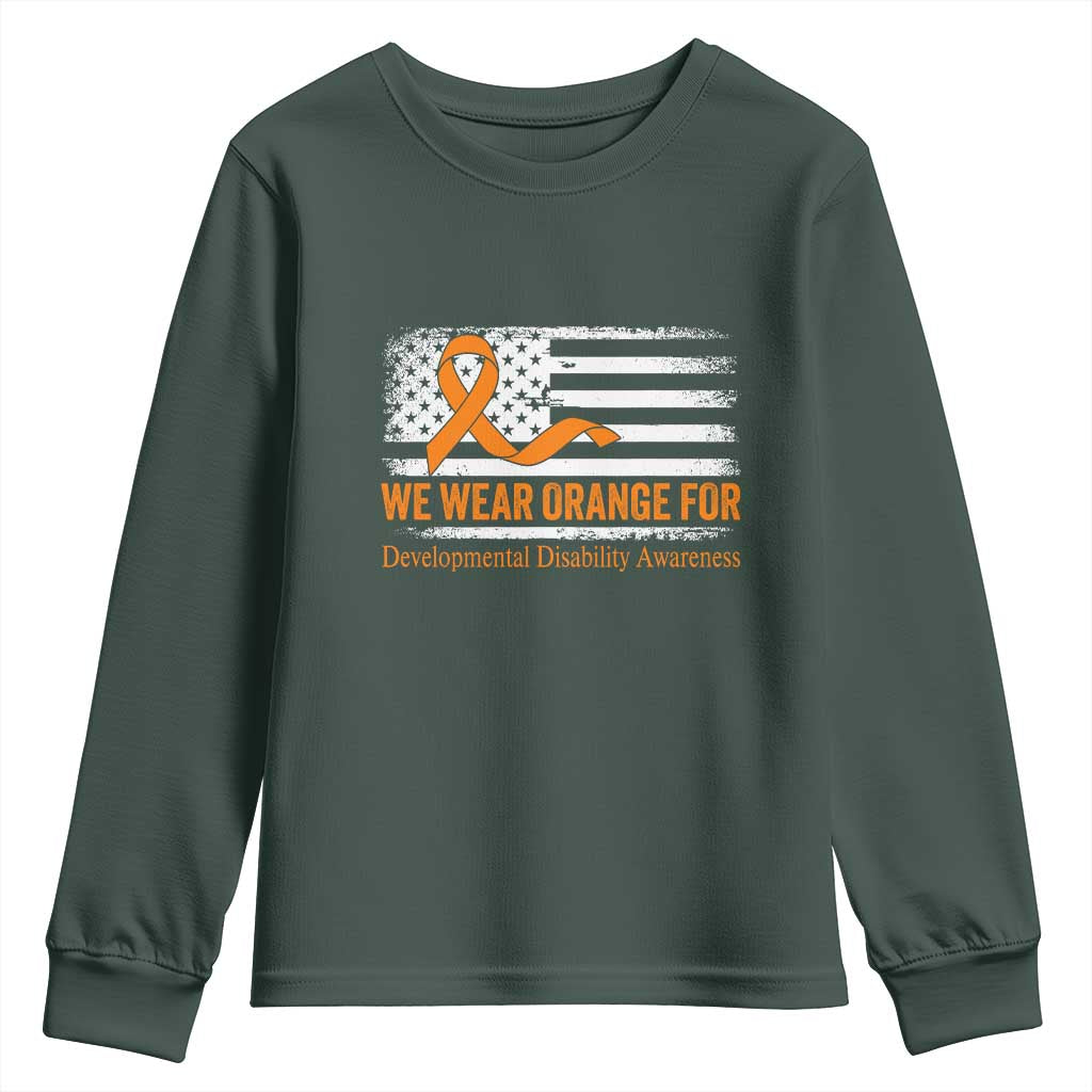 Developmental Disability Support Youth Sweatshirt US American Flag We Wear Orange