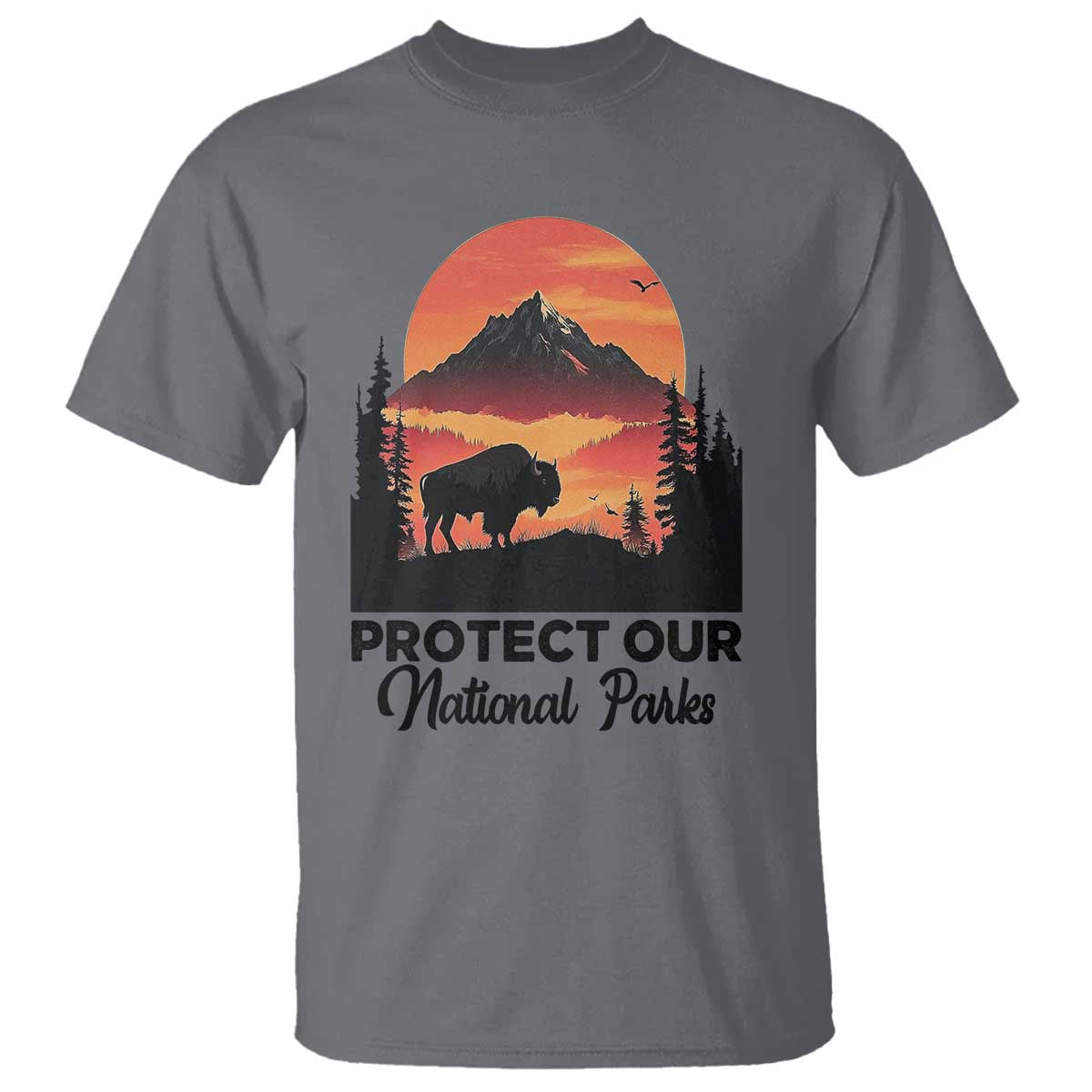 protect-our-national-parks-t-shirt-bison-buffalo-vintage-graphic