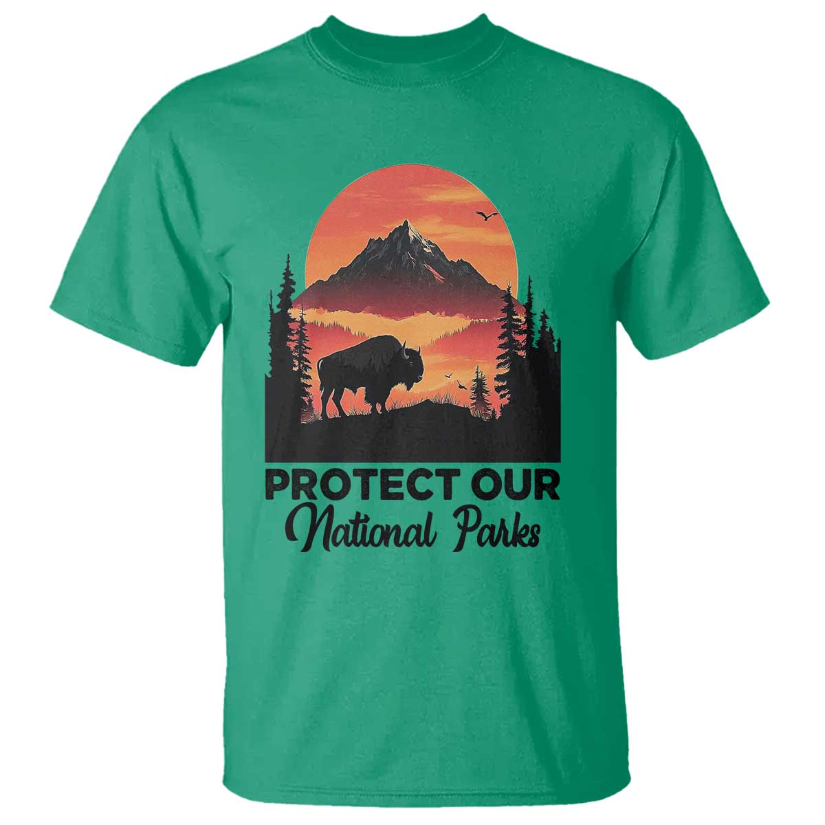 protect-our-national-parks-t-shirt-bison-buffalo-vintage-graphic
