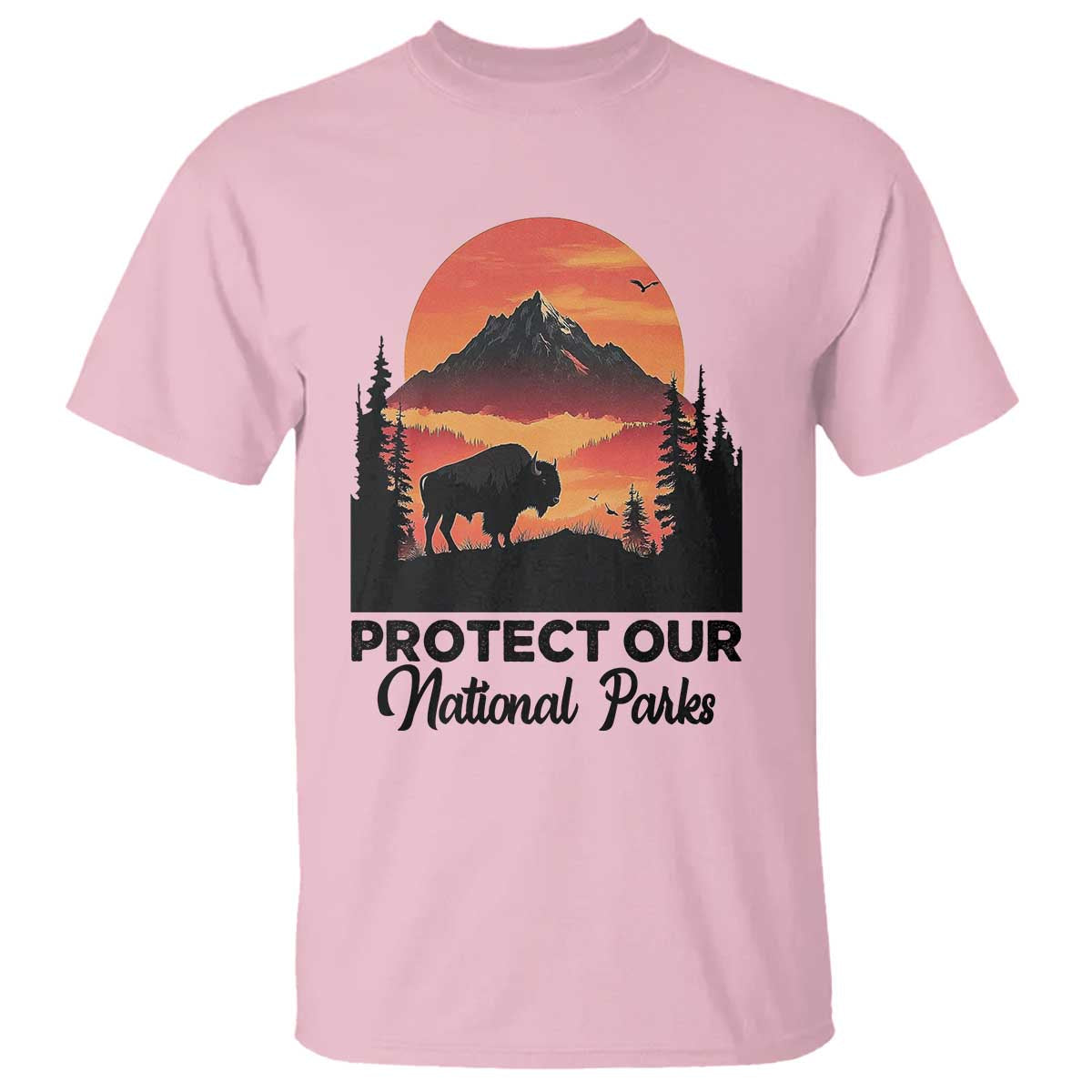 protect-our-national-parks-t-shirt-bison-buffalo-vintage-graphic