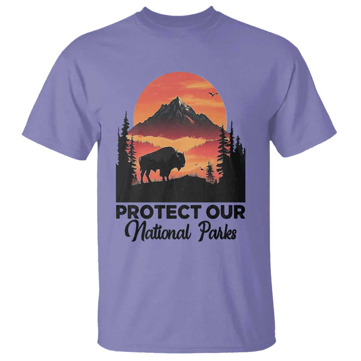 protect-our-national-parks-t-shirt-bison-buffalo-vintage-graphic