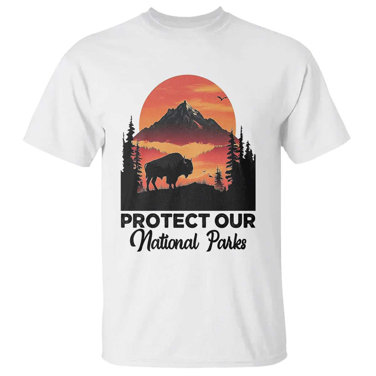 protect-our-national-parks-t-shirt-bison-buffalo-vintage-graphic