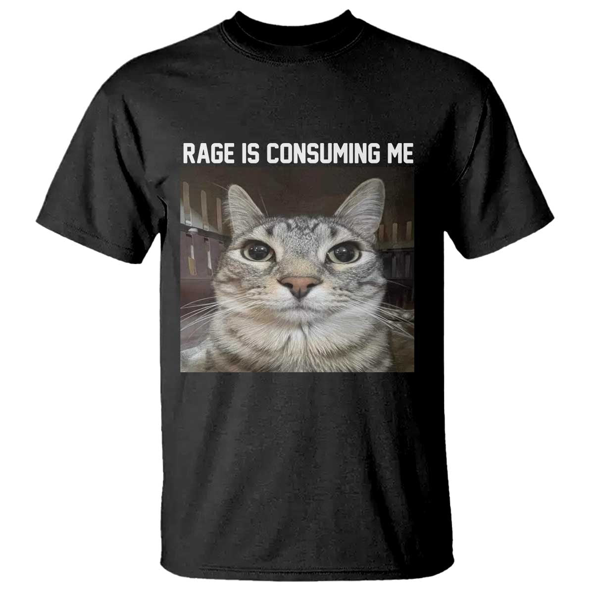 funny-silly-cat-meme-t-shirt-rage-is-consuming-me-staring
