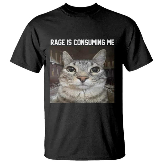 funny-silly-cat-meme-t-shirt-rage-is-consuming-me-staring