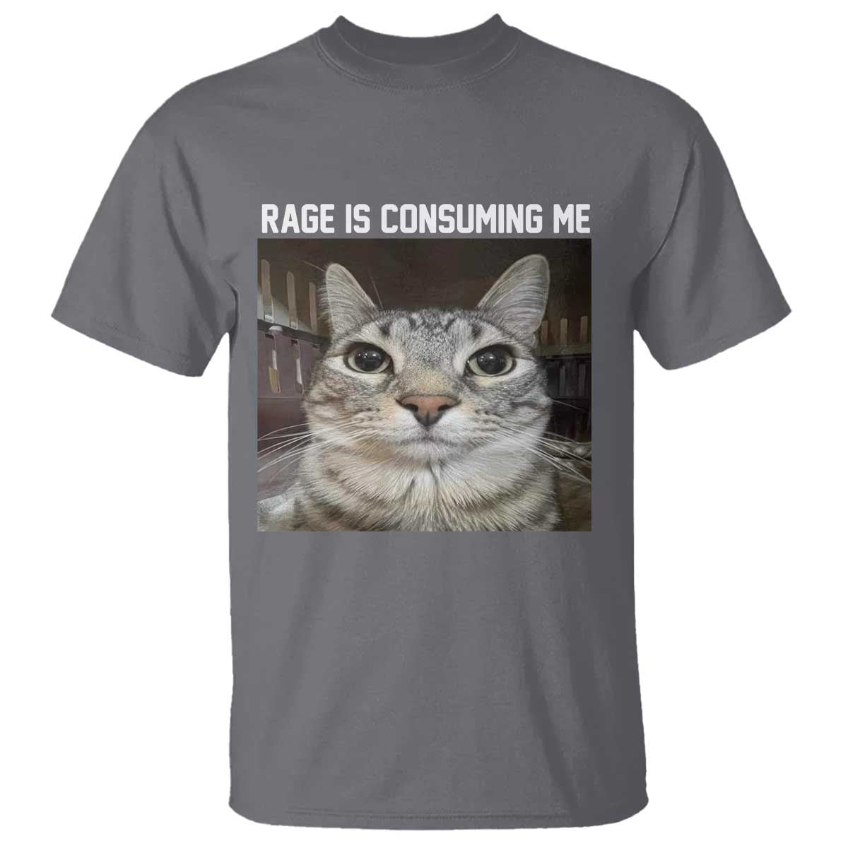 funny-silly-cat-meme-t-shirt-rage-is-consuming-me-staring