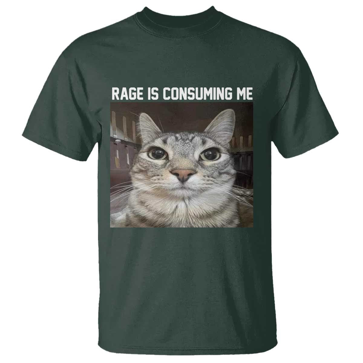 funny-silly-cat-meme-t-shirt-rage-is-consuming-me-staring