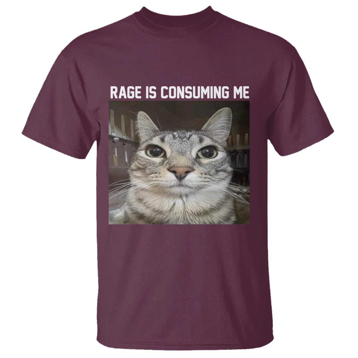 funny-silly-cat-meme-t-shirt-rage-is-consuming-me-staring