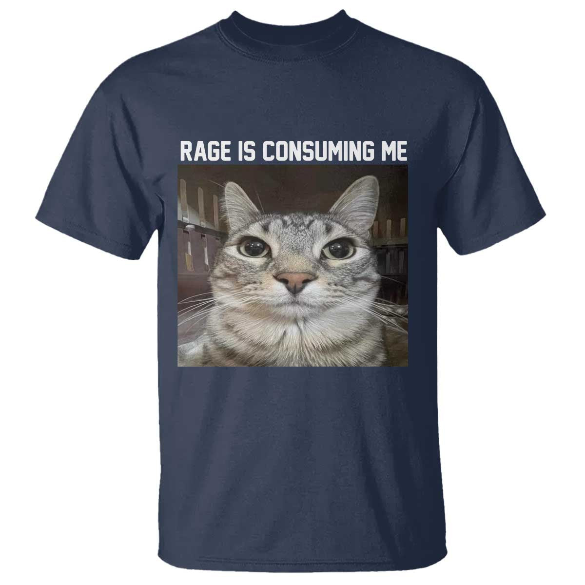 funny-silly-cat-meme-t-shirt-rage-is-consuming-me-staring