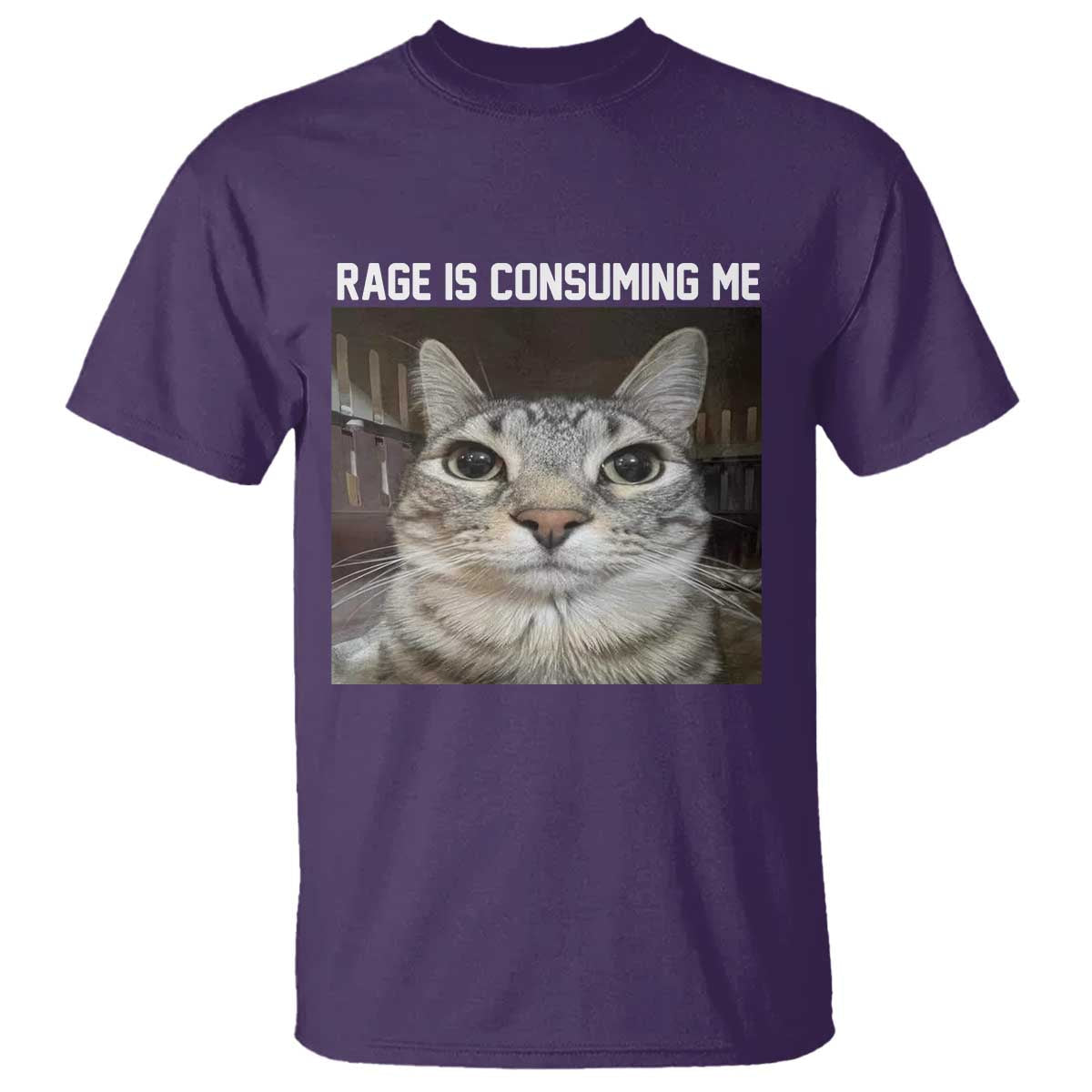 funny-silly-cat-meme-t-shirt-rage-is-consuming-me-staring