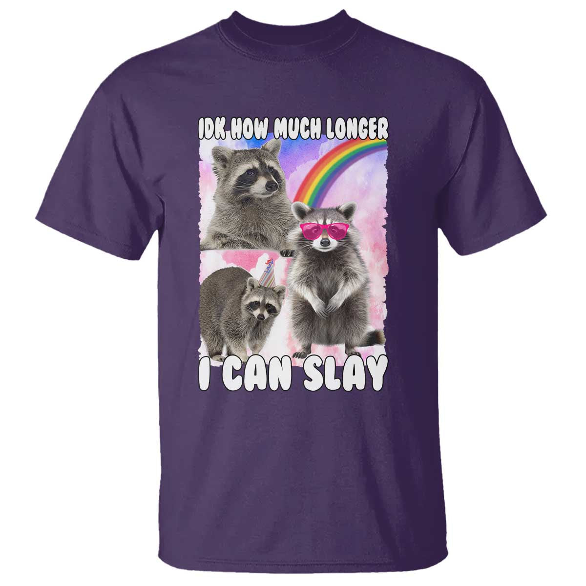 funny-raccoon-meme-t-shirt-idk-how-much-longer-i-can-slay