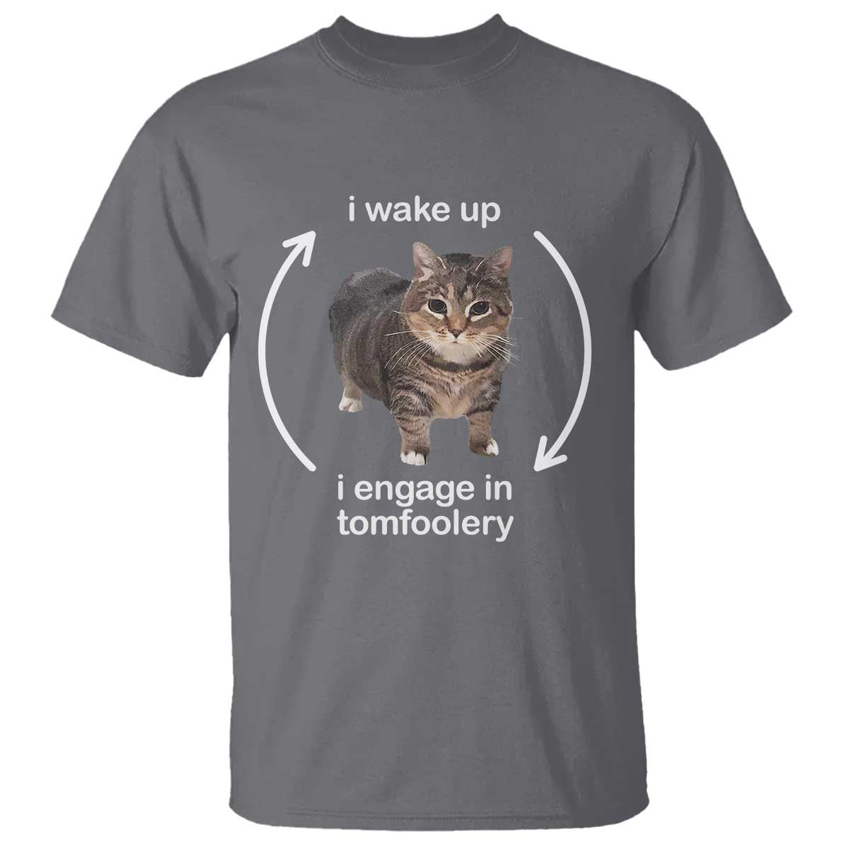 funny-silly-cat-meme-t-shirt-i-wake-up-i-engage-in-tomfoolery