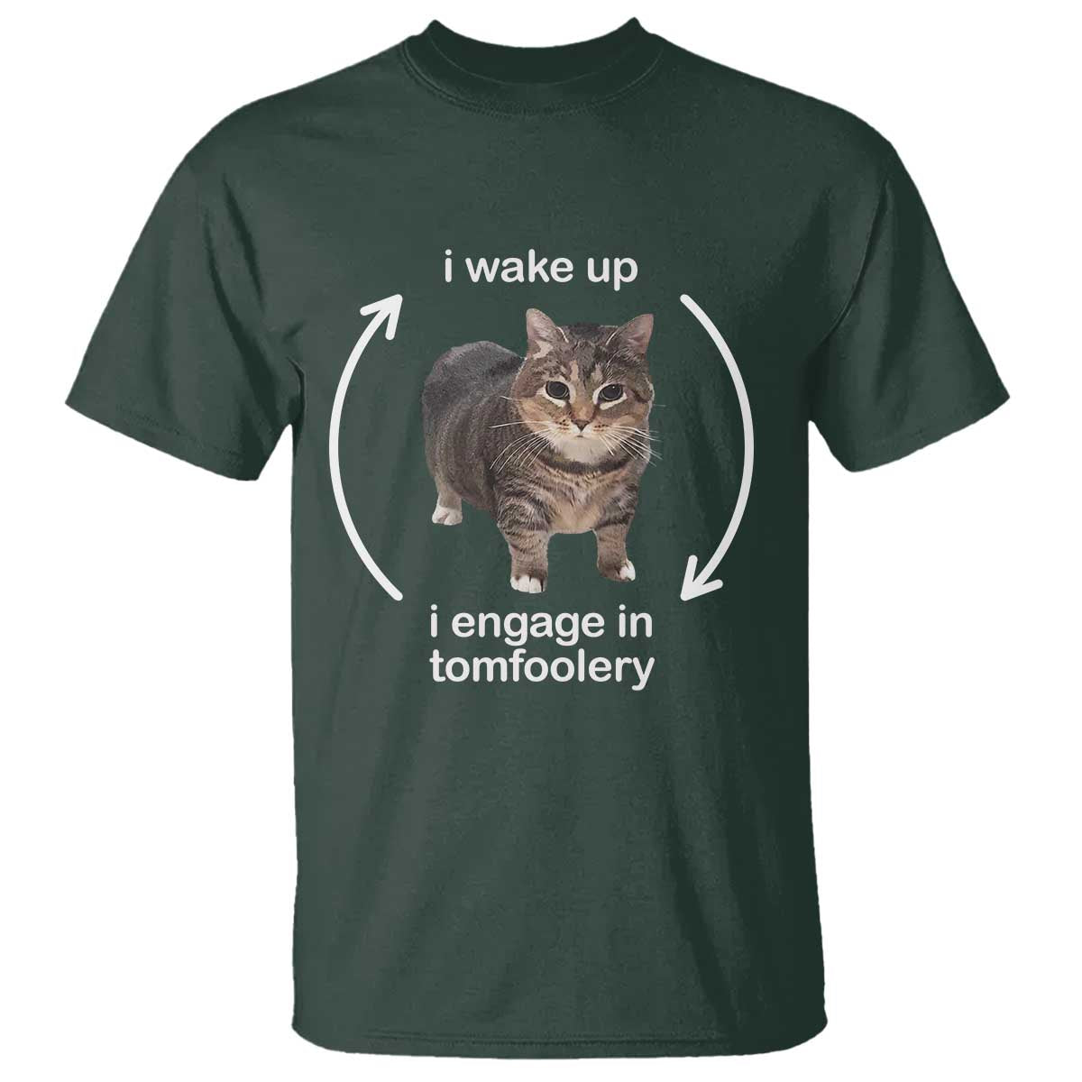 funny-silly-cat-meme-t-shirt-i-wake-up-i-engage-in-tomfoolery