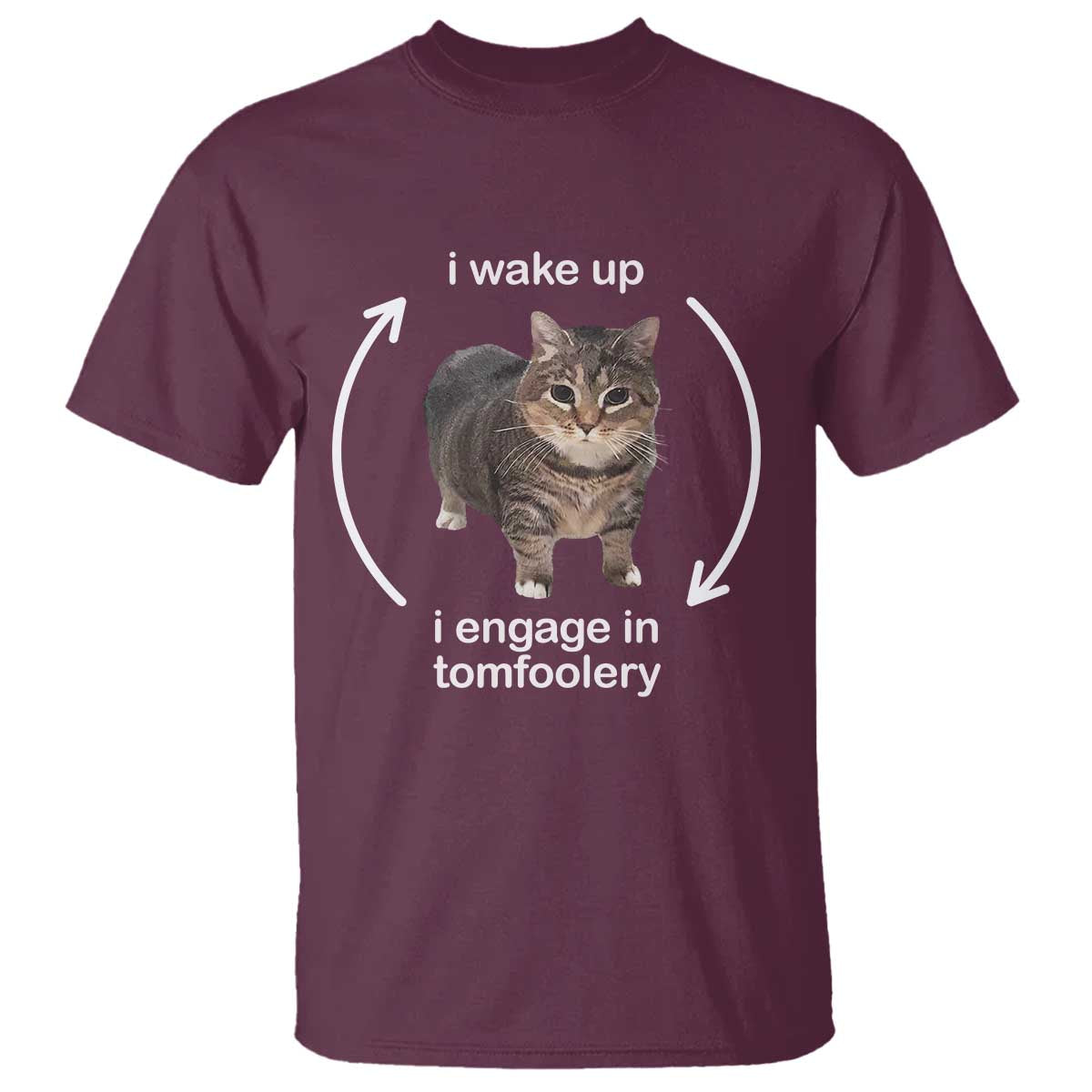 funny-silly-cat-meme-t-shirt-i-wake-up-i-engage-in-tomfoolery