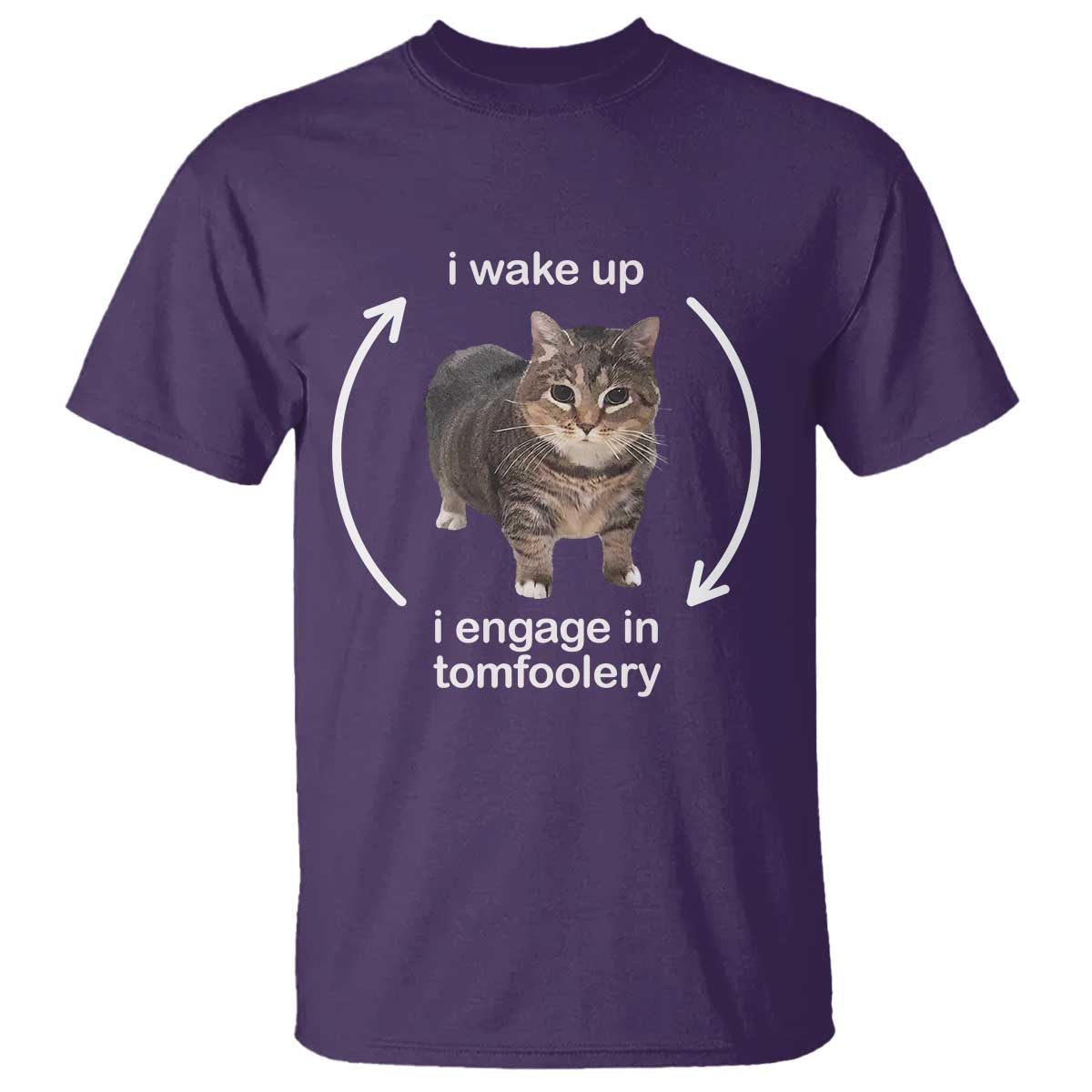 funny-silly-cat-meme-t-shirt-i-wake-up-i-engage-in-tomfoolery