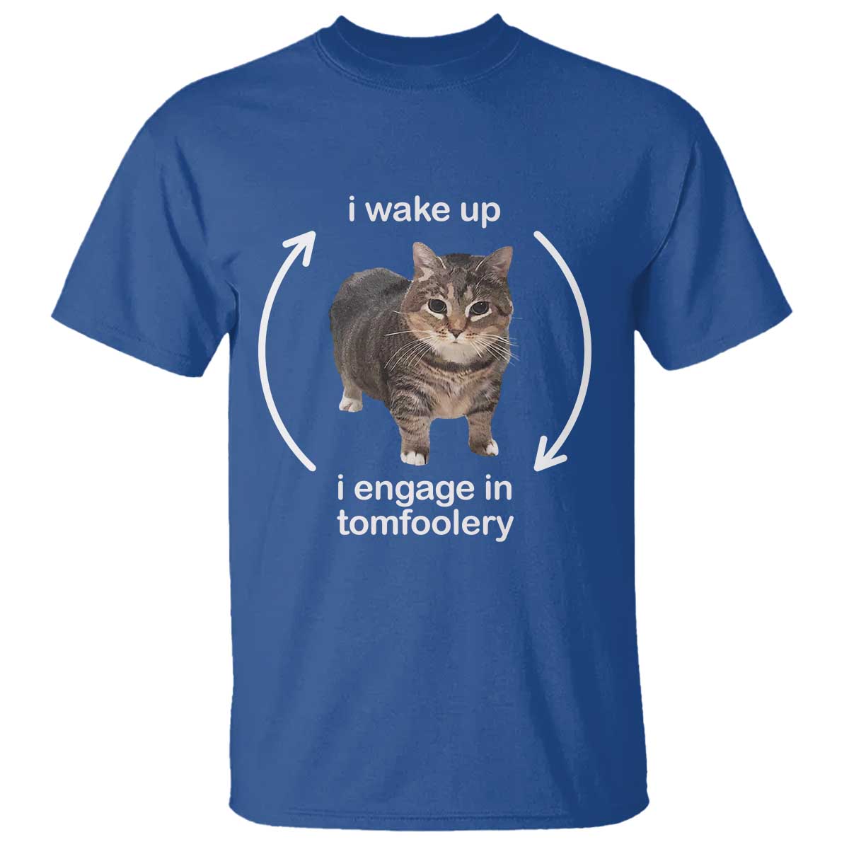 funny-silly-cat-meme-t-shirt-i-wake-up-i-engage-in-tomfoolery