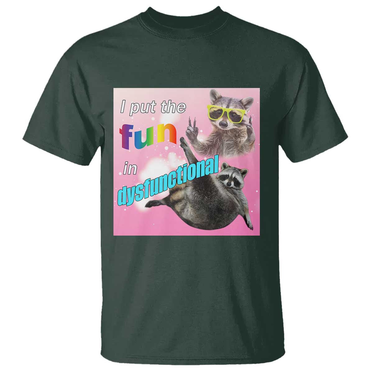 funny-raccoon-meme-t-shirt-i-put-the-fun-in-dysfunctional