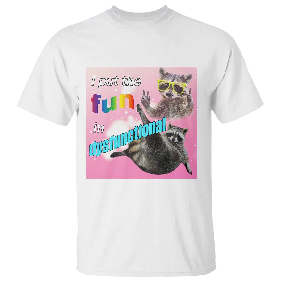 funny-raccoon-meme-t-shirt-i-put-the-fun-in-dysfunctional