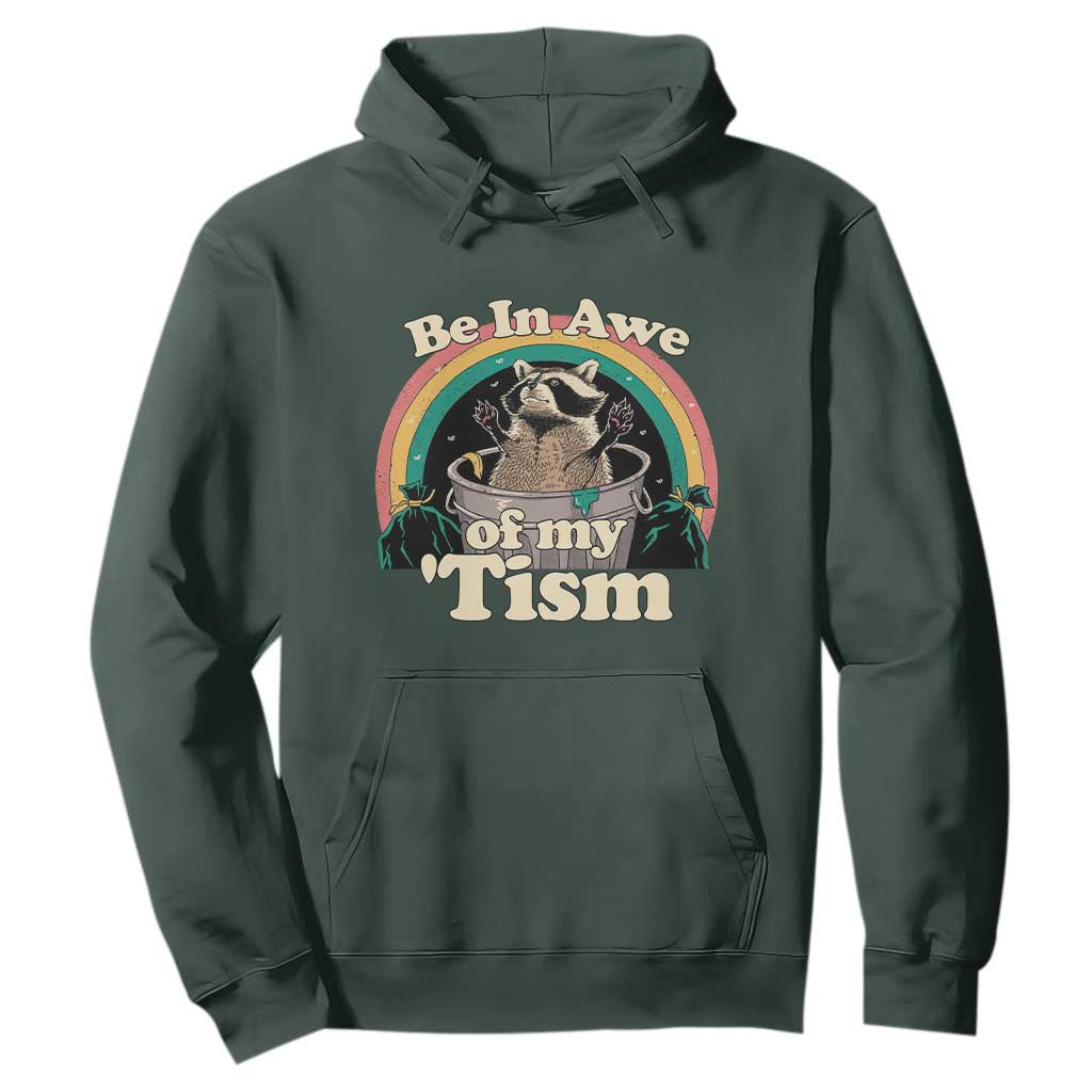 Autism Funny Raccoon Hoodie Be In Awe Of My 'Tism Meme Autistic