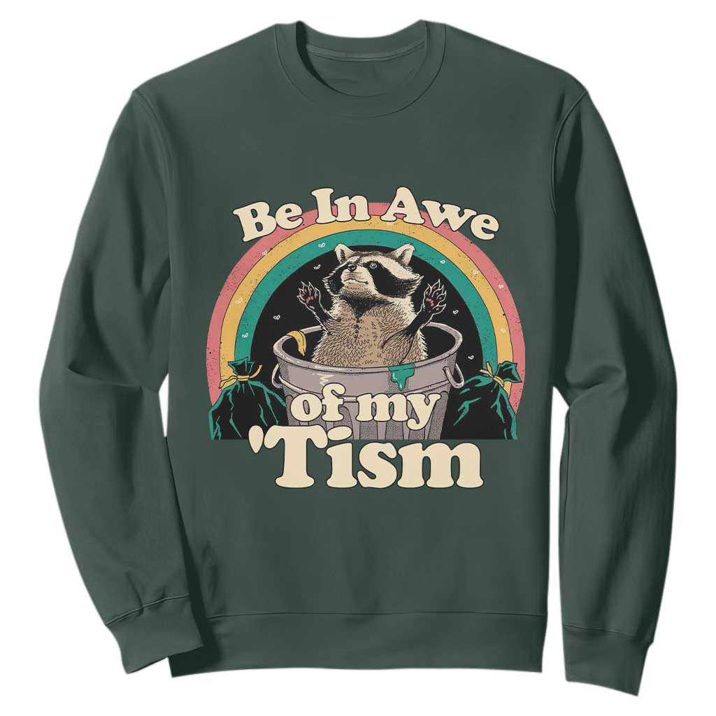 Autism Funny Raccoon Sweatshirt Be In Awe Of My 'Tism Meme Autistic