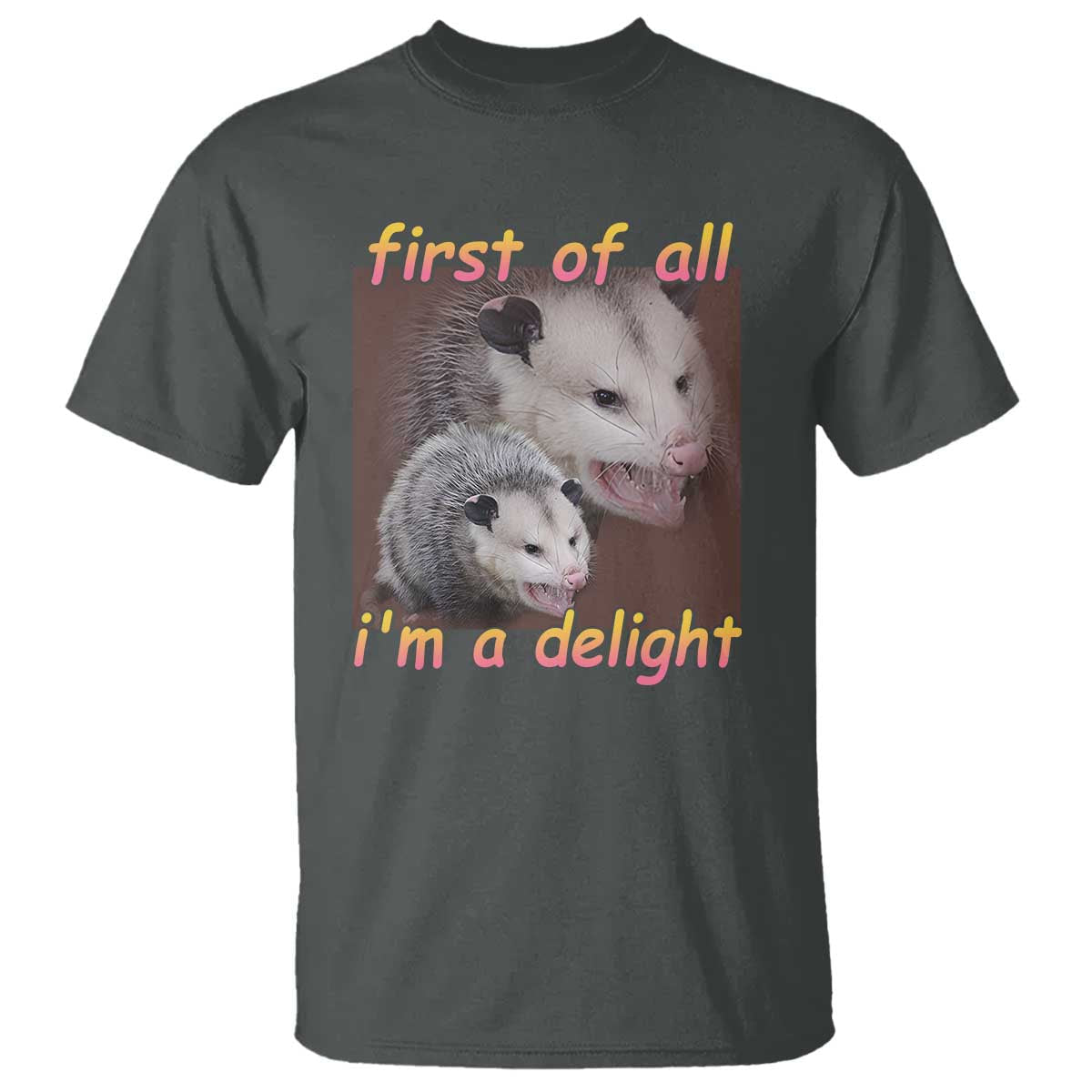 funny-opossum-t-shirt-first-of-all-im-a-delight