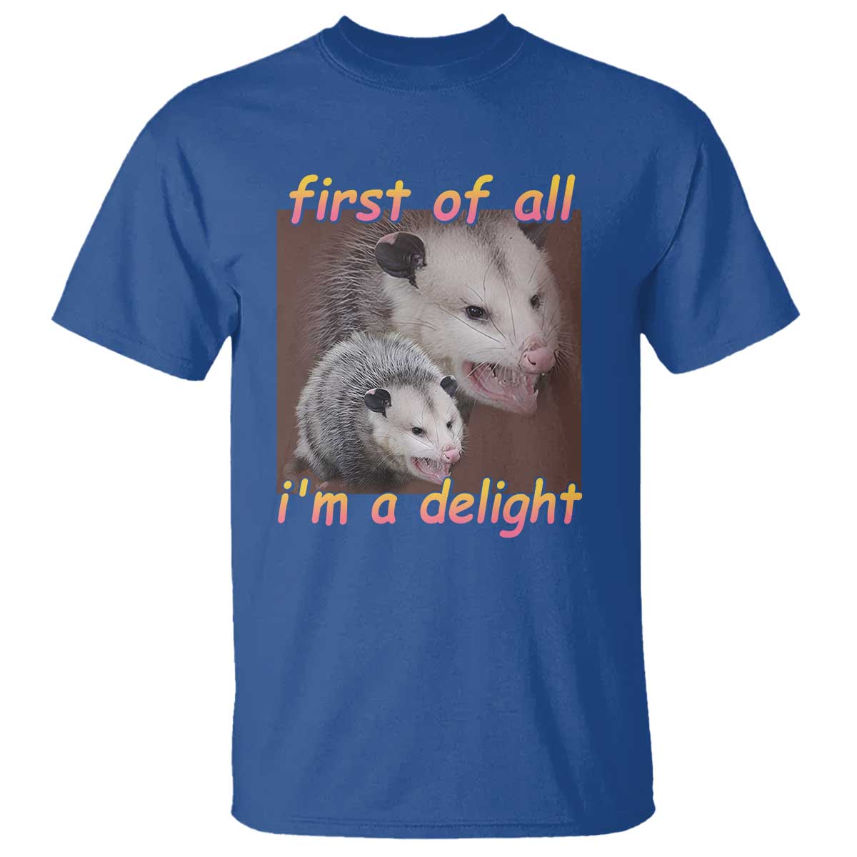 funny-opossum-t-shirt-first-of-all-im-a-delight